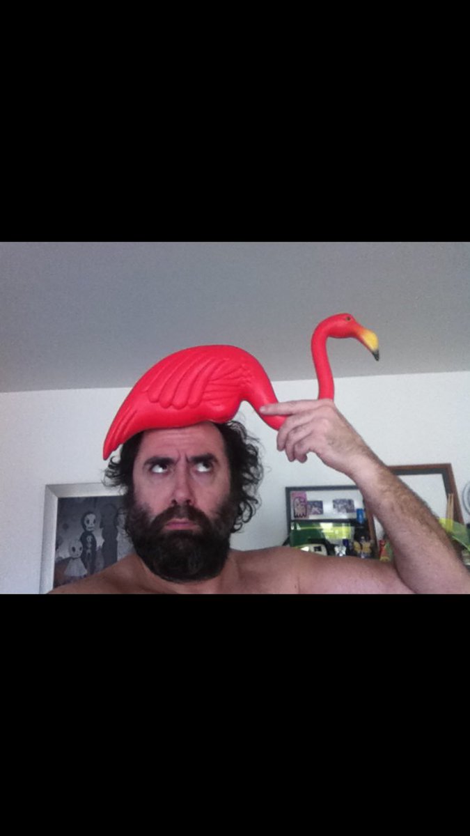 Me flipa el flamenco.