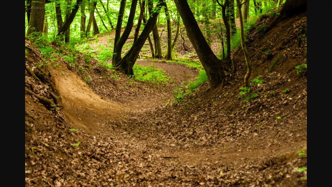 How much fun does this look? #mtb #mountainbike #shred #downhill