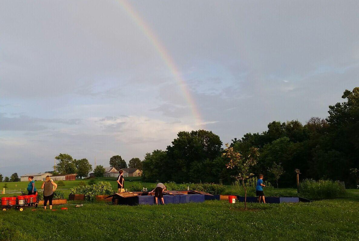 mrs_mellenthin's tweet image. Carriel garden volunteers hard at work tonight! Rainbow was worth the rain! #ofd90 #schoolgarden #wormcomposting