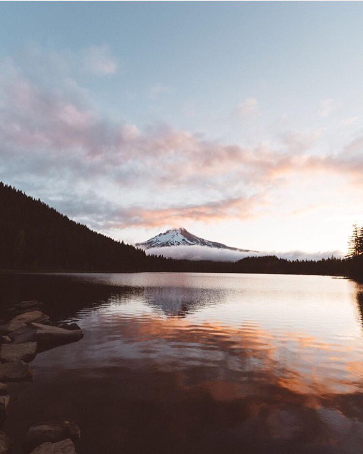 oregonnw's tweet photo. https://t.co/AKgNhYpr6W