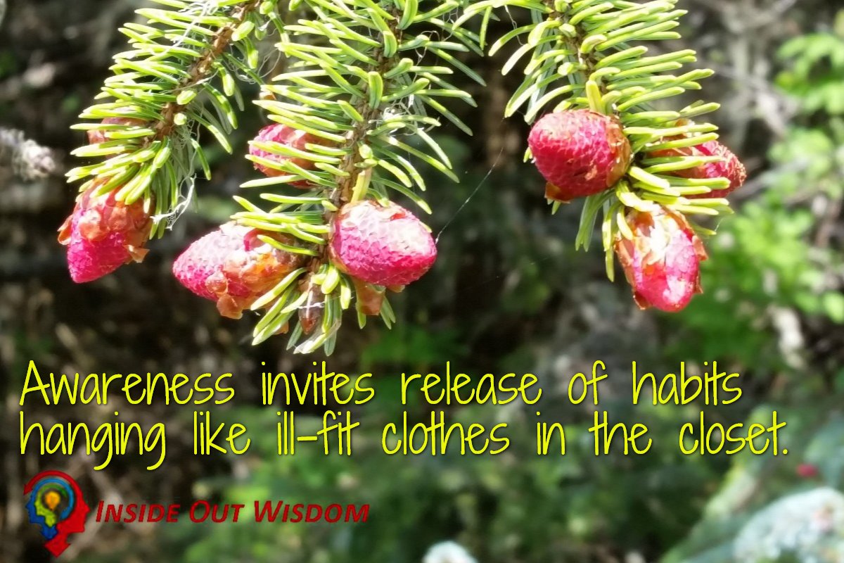 insideoutwisdom's tweet image. Awareness invites release of habits hanging like ill-fit clothes in the closet. #insidesideoutwisdom