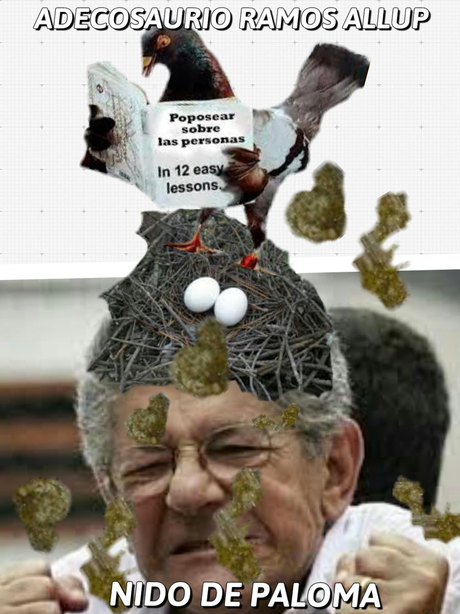 Beacandanga's tweet photo. Nido d Paloma @hramosallup t metiste con Chávez t secarás. Cobarde  #MUDEresUnFraude https://t.co/PtxzG0mI30