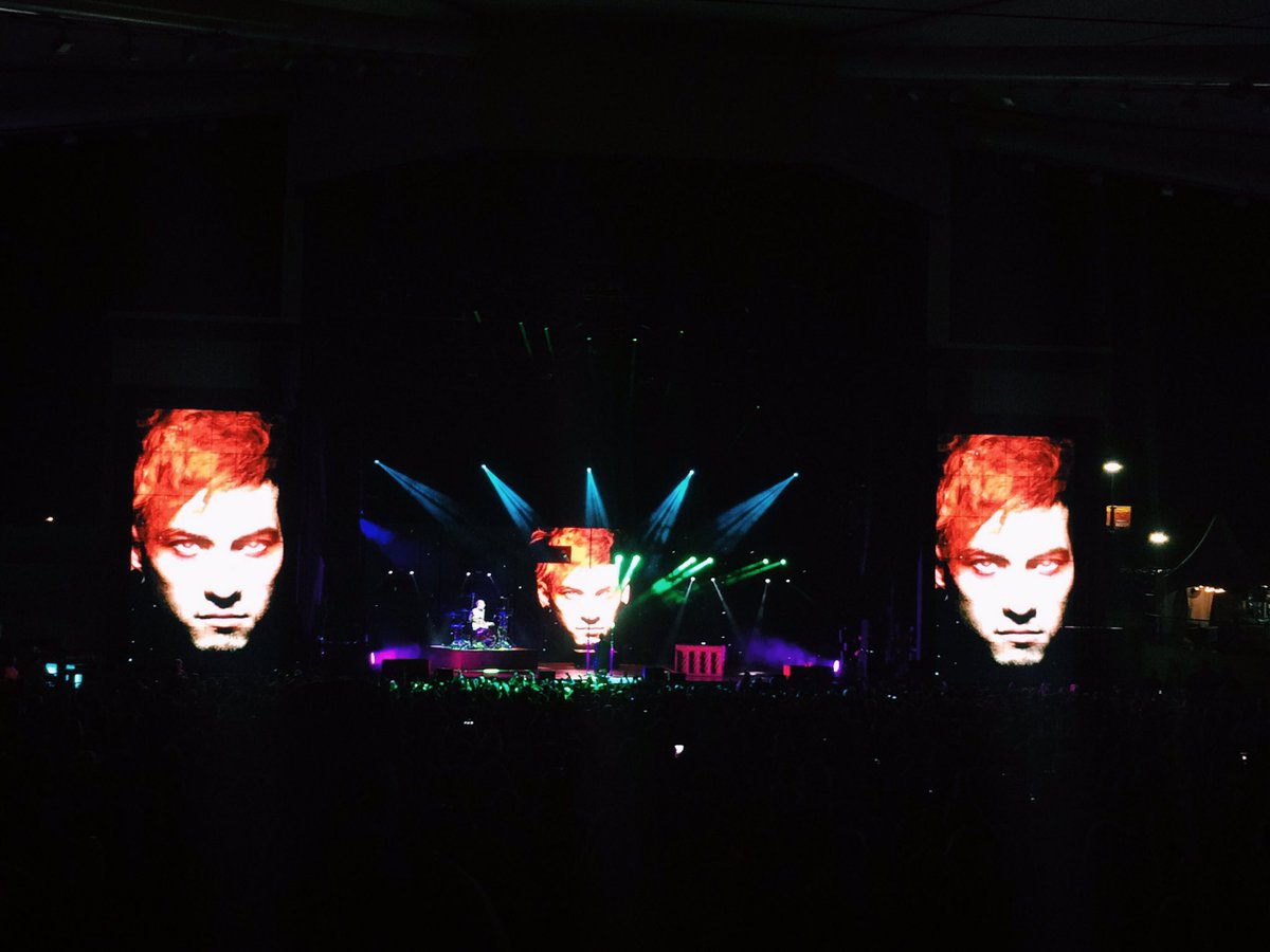 Hallie May tweet media