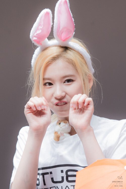 TWICE_MSANA's tweet photo. sana-chan is a happy chickmunk who always smile 🐹 https://t.co/1U4UiWnFat
