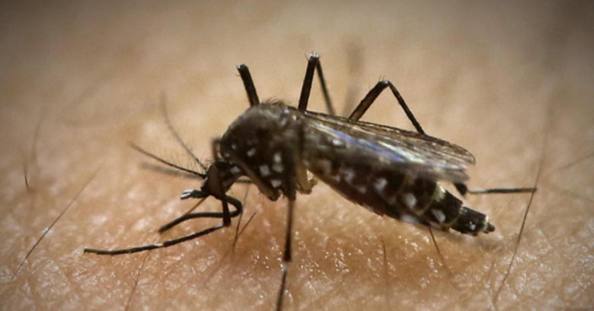 Zika now infecting US Service memebers