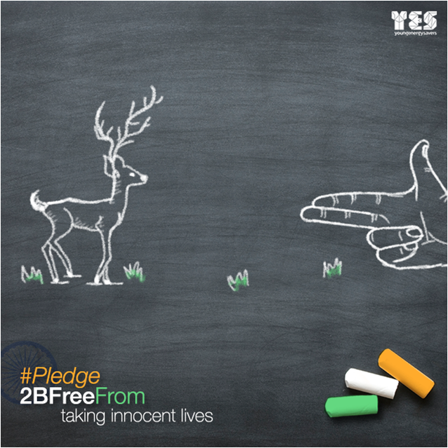 YES_SaveEnergy's tweet image. Are animals for sporting pleasures and making products? Start valuing their life. #Pledge2BFreeFrom #Insensitivity