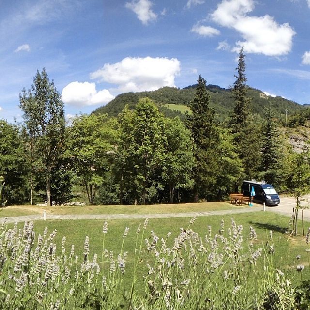 IvanoTheVan's tweet photo. Don't worry, I was just disappeared for a while because in the natural environment there's… https://t.co/mNlQjViTXO https://t.co/h32vzUNdLU