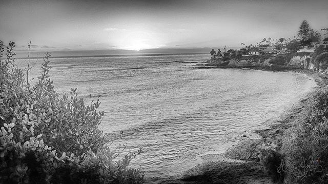 AlohaLokie's tweet photo. #Photography MY #Sanctuary 🙏🏽 #SanDiego🌴🌅 #Sunset🌅#worldclassshots… https://t.co/4MiUhuzJjk #instagram https://t.co/PXM4ie7Sso