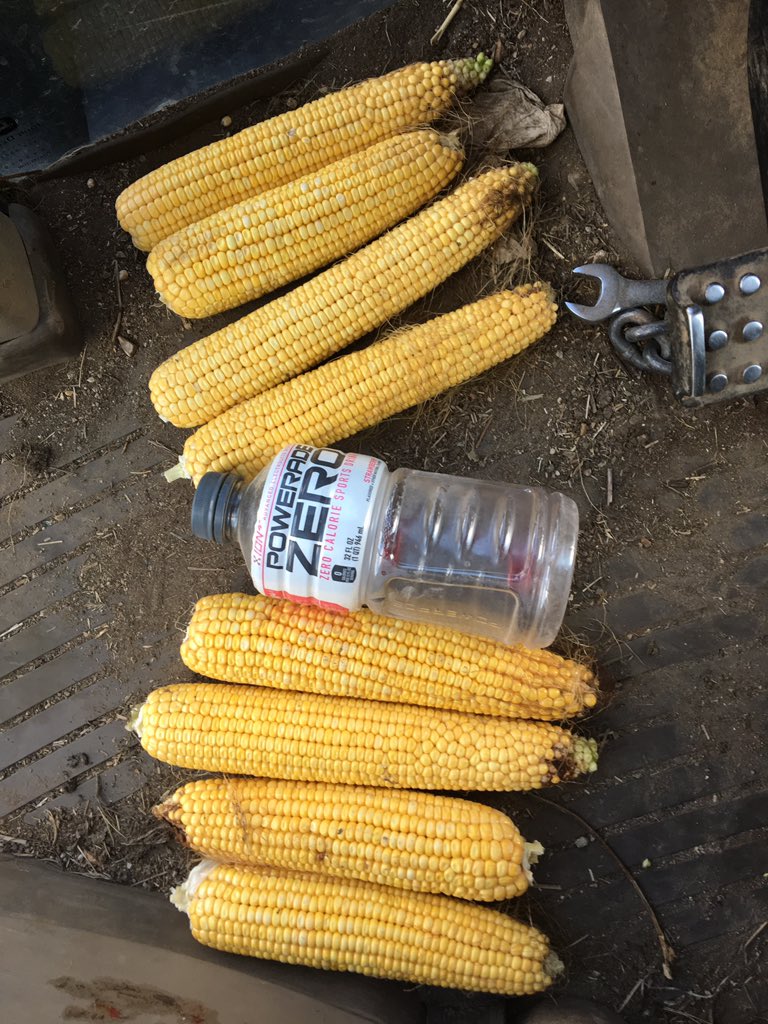 Daniel Fosnow tweet media