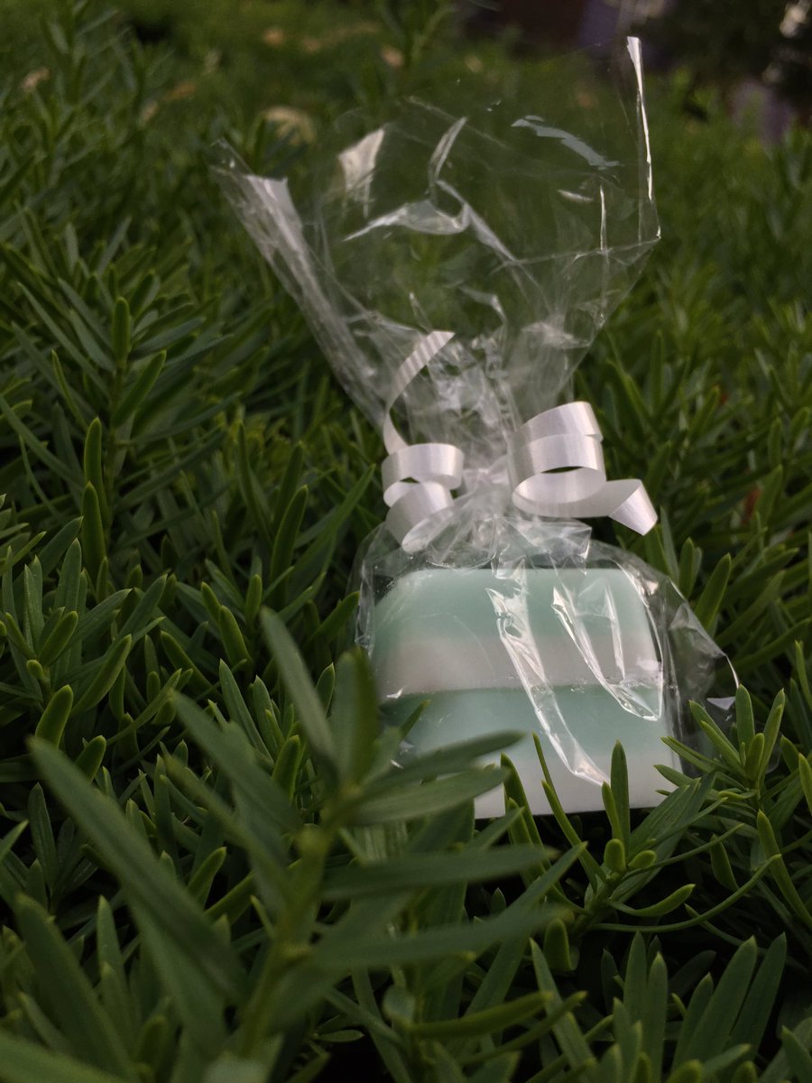 #bridalshowerfavors #handsoaps #saarondipity #oceanbreeze