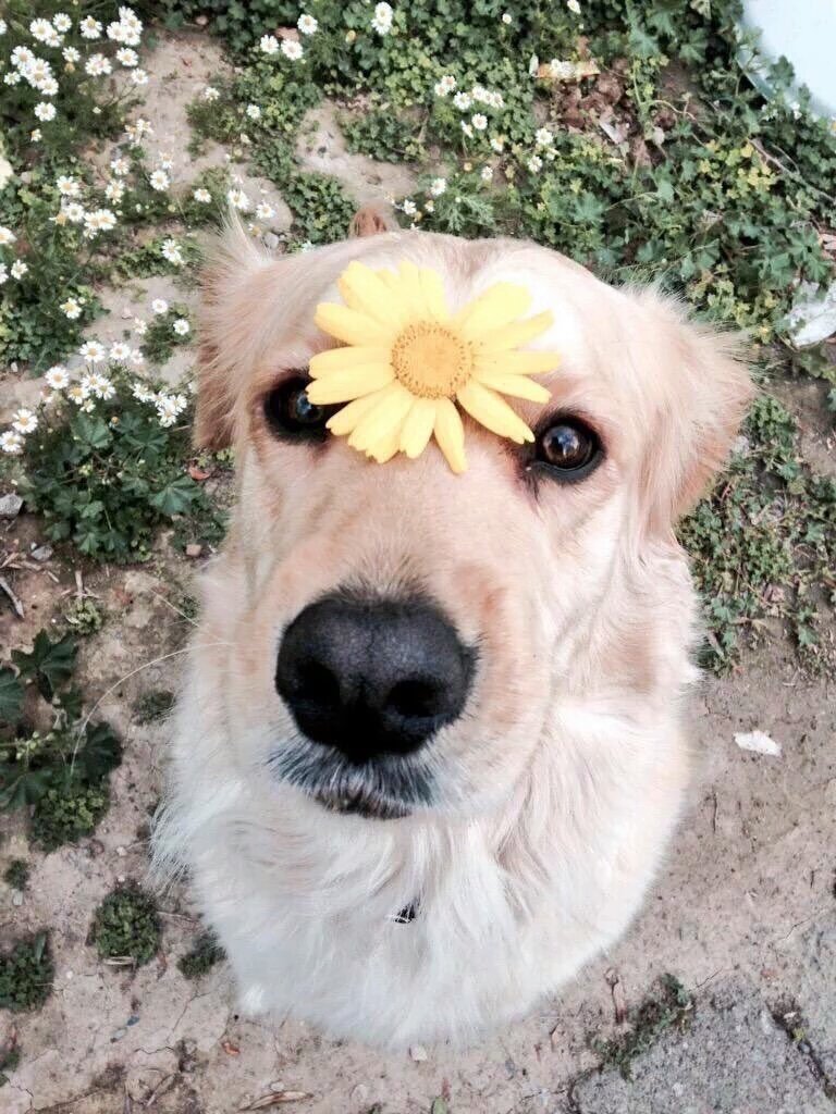 passando na sua tml pra alegrar o seu dia