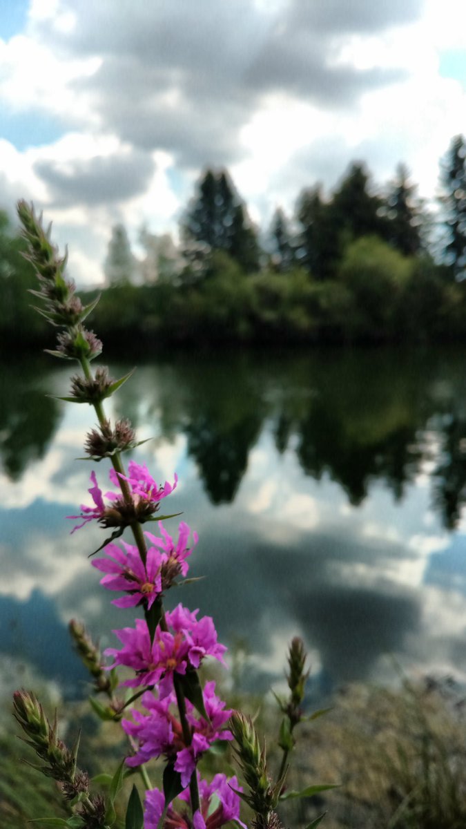 CraftChallenged's tweet image. Was a beautiful day here in Edmonton #yeg before #abstorms cane through.