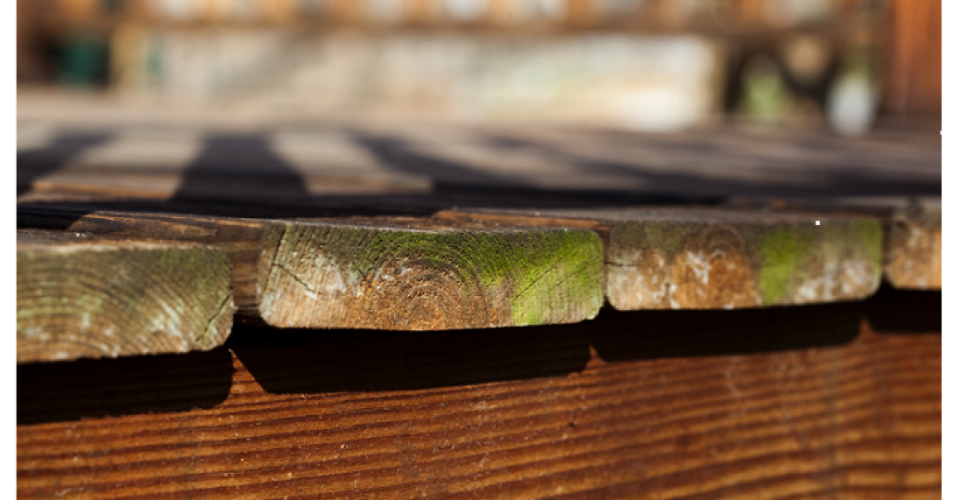 CityGreenYYC's tweet photo. Resurface or rebuild? How to bring new life to your old #deck https://t.co/kdiBGkxDtW #yyc https://t.co/CNTrJoFOkG