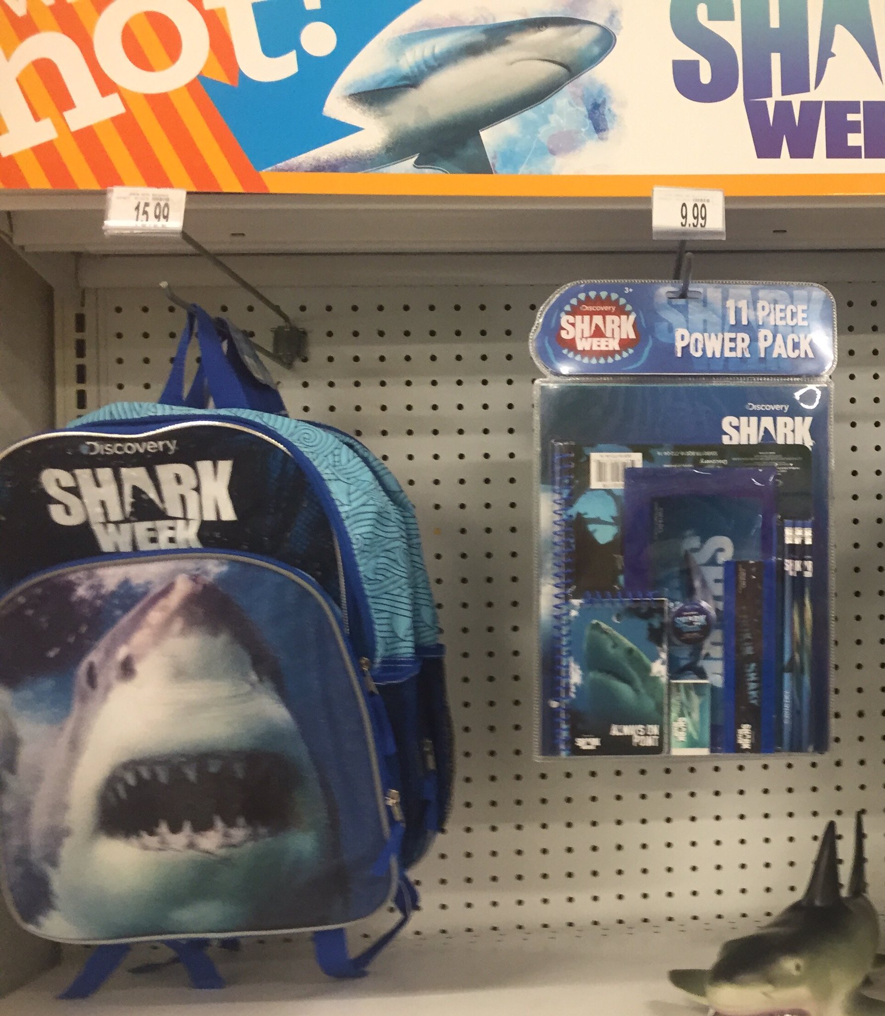MA Sharks on X