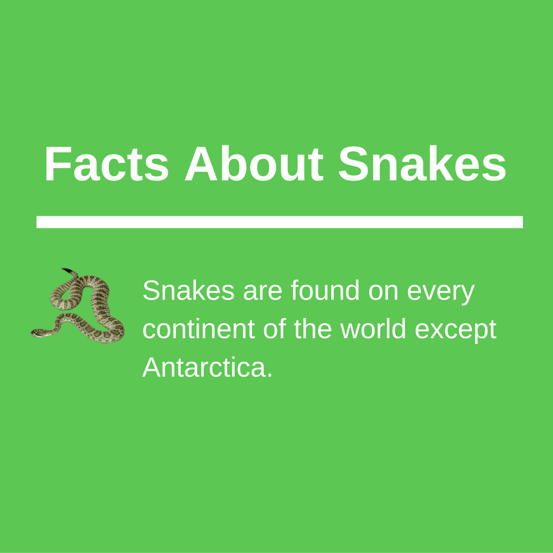 keepforests's tweet image. Share To Help Promote Awareness About Forest &amp;amp; Wildlife Conservation: KeepForests.com