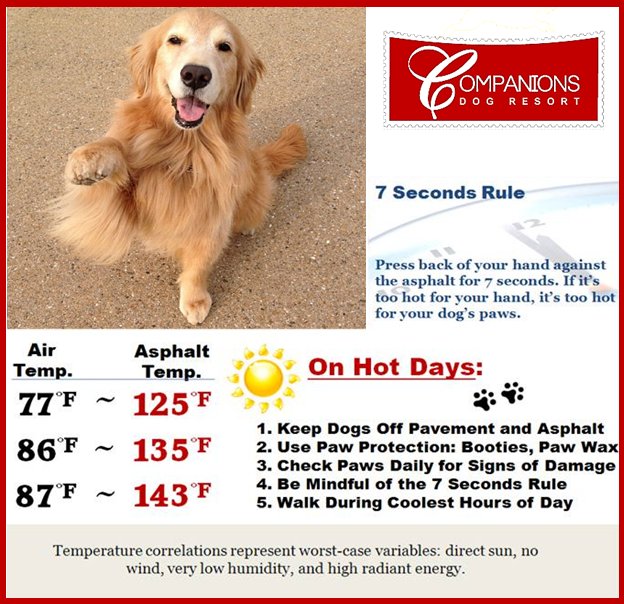 t_jh2009's tweet photo. Just because it feels cool enough for you in this hot weather it might other for others. #7SecondRule https://t.co/p5UXHEK4pU