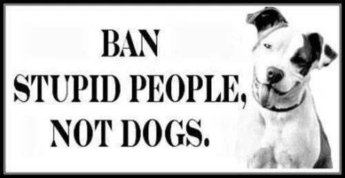 Niamhie (@niamhie11) on Twitter photo 