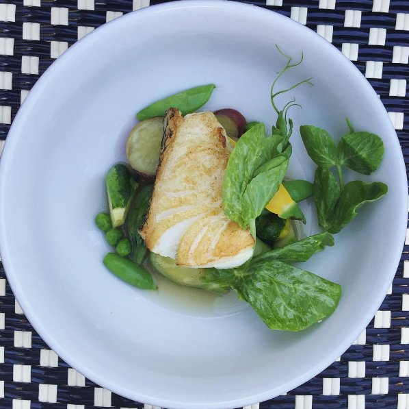 The summery-ist dish yet! Patagonian toothfish, pea tendrils, Japanese sweet potato, vegetable fumet 🙌