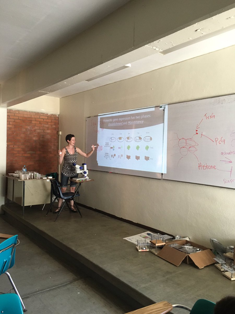 sciangeles's tweet photo. @hleighcurtis talks animal body plan, development and hox genes #Dev16, #CdeCMx16 https://t.co/qzO5GK2ggB