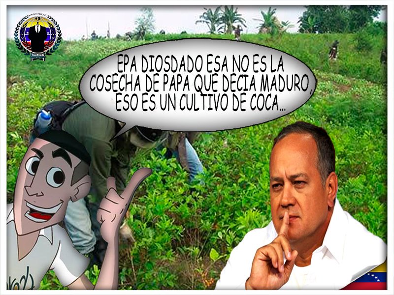 Anons cheverito tweet media