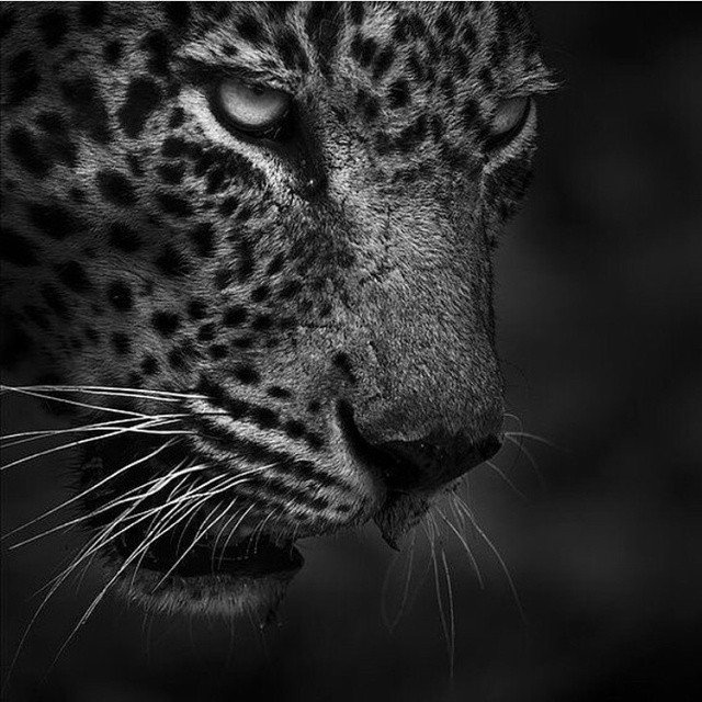 hoobee app tweet media