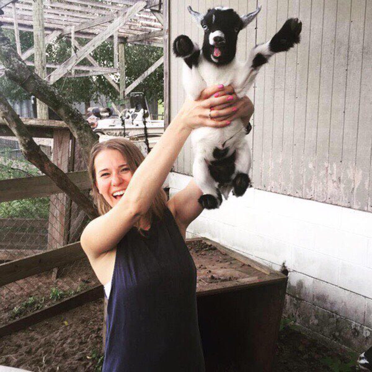 Goatinists tweet picture