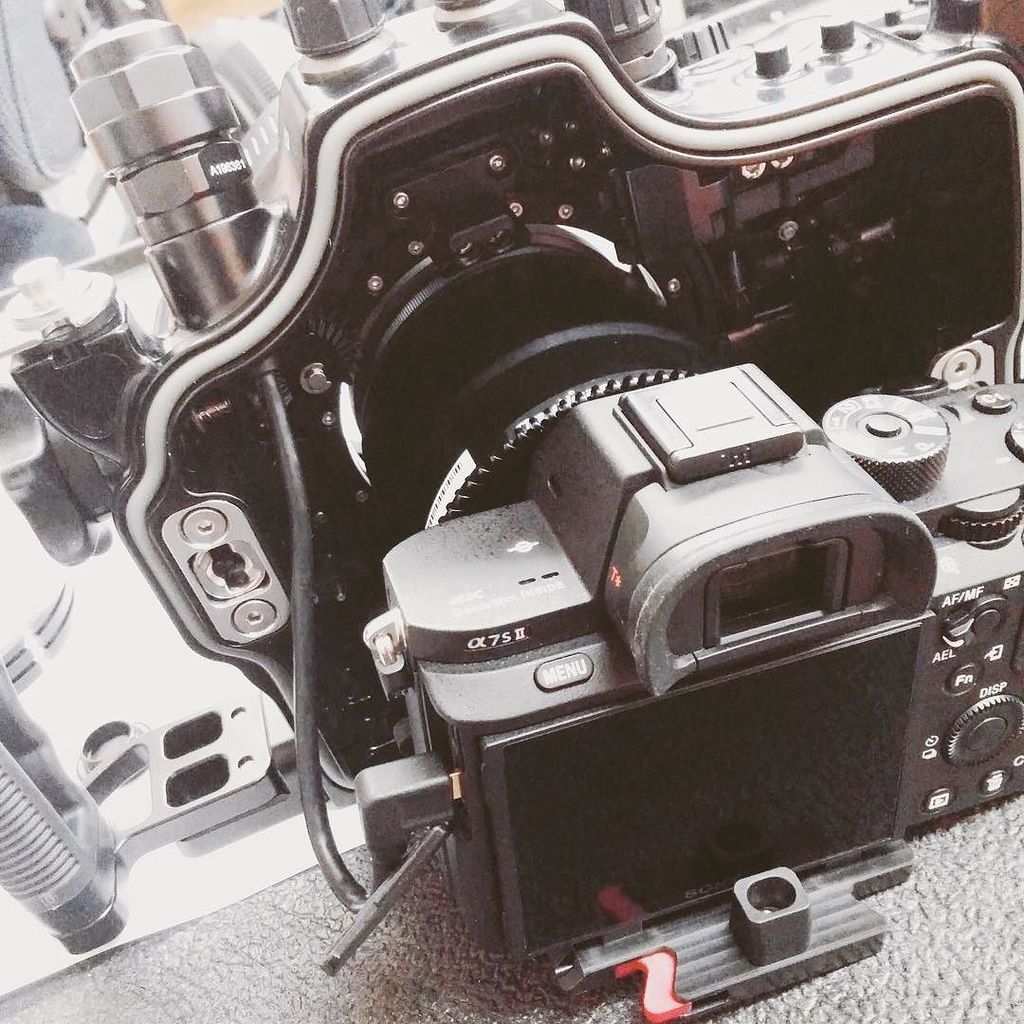 Budget Video Rentals (budgetvideo) Twitter