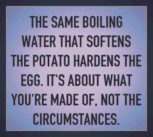 _JamieAllen_'s tweet photo. I have always believed in this. The change starts with YOU, not your surroundings. #WordsToLiveBy https://t.co/Gvg6psis1h