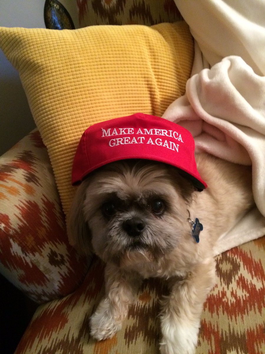 pinkladyjones's tweet photo. @GeauxTrump pups love Trump too🇺🇸🇺🇸🇺🇸🇺🇸 https://t.co/nAQaBVlYY0