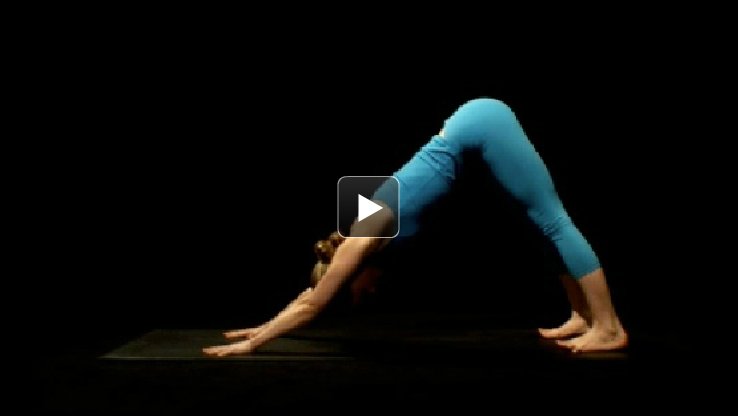 Yoga_Journal's tweet photo. WATCH + LEARN: A 360-degree demo of #DownDog. #yoga #yogavideos #yogaforbeginners https://t.co/5sezXdIZa3 https://t.co/8XyjJUm3dG