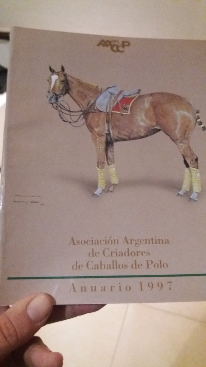 cocoabelenda's tweet photo. “@elreicho: @jveraocampo @JavierTezanos campeón hembra 1992 y mejor producto AACCP en el abierto 1997 https://t.co/62Ybqmn3Ud”@SebiMerlos