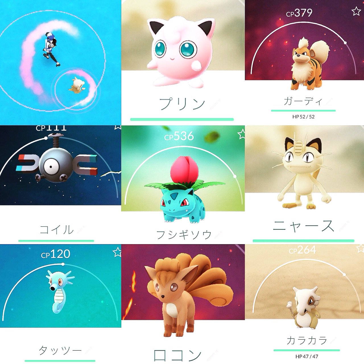 けまら On Twitter 高知へ向かう海の上 お香を焚いたらうちの近所では出ないポケモンが大量に出てきて 捕獲しまくってた しかーし ポケスポットがどこにもないので200近くあったボールがほぼ売切れという