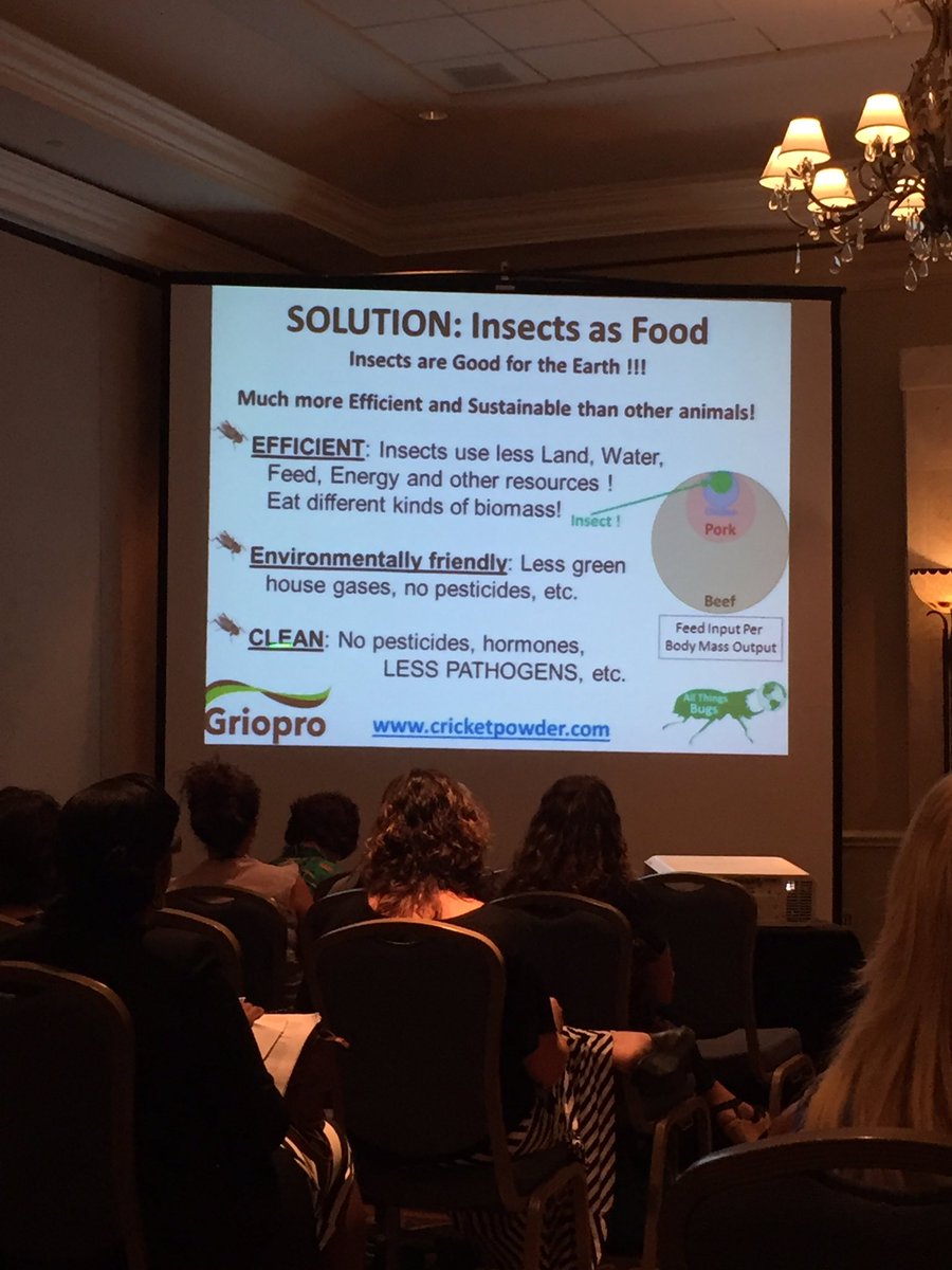 simplehealthyU's tweet photo. Great closing session at #flfans learning about cricket protein powder #proteinpowder #insects #innovation https://t.co/ORcEEw3KwW