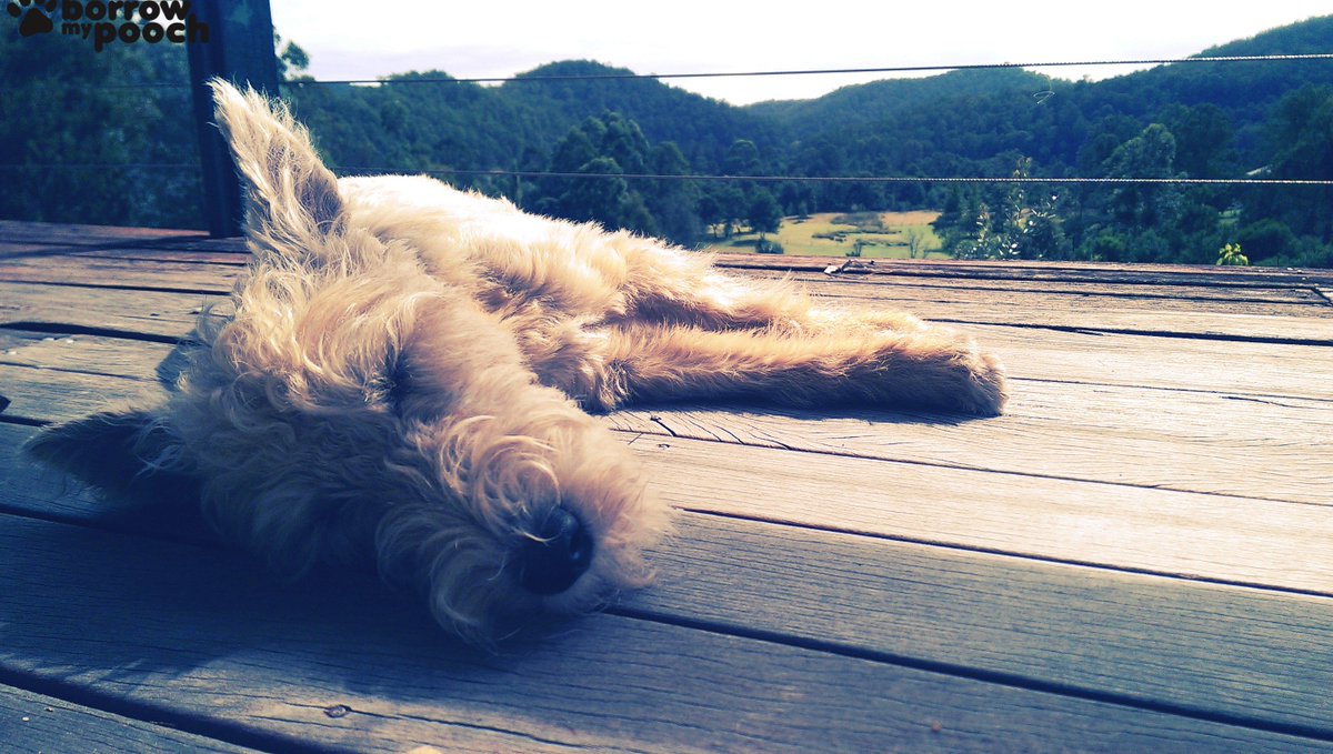 The weekend's started early for Connie in Five Dock, NSW ow.ly/Up9G3025Fb1