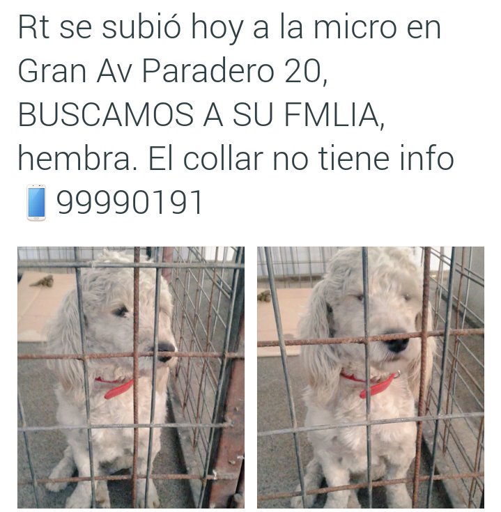 Coni Méndez K. tweet media