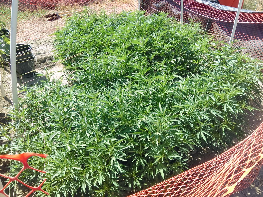 Maxyield710 tweet picture