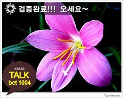 MandateAloha's tweet photo. #안전놀이터
#네임드사다리놀이터추천

파워볼-연승-이벤트
😞
🌋
🌻
💵
😑 https://t.co/8lEhpWMvDh 😑
🔳
🏊
❇
🈺
#토토사이트
㊗ 깨톡: bet1004 ㊗
🐎%B`3%5🛀5 https://t.co/ePa2GViTzC