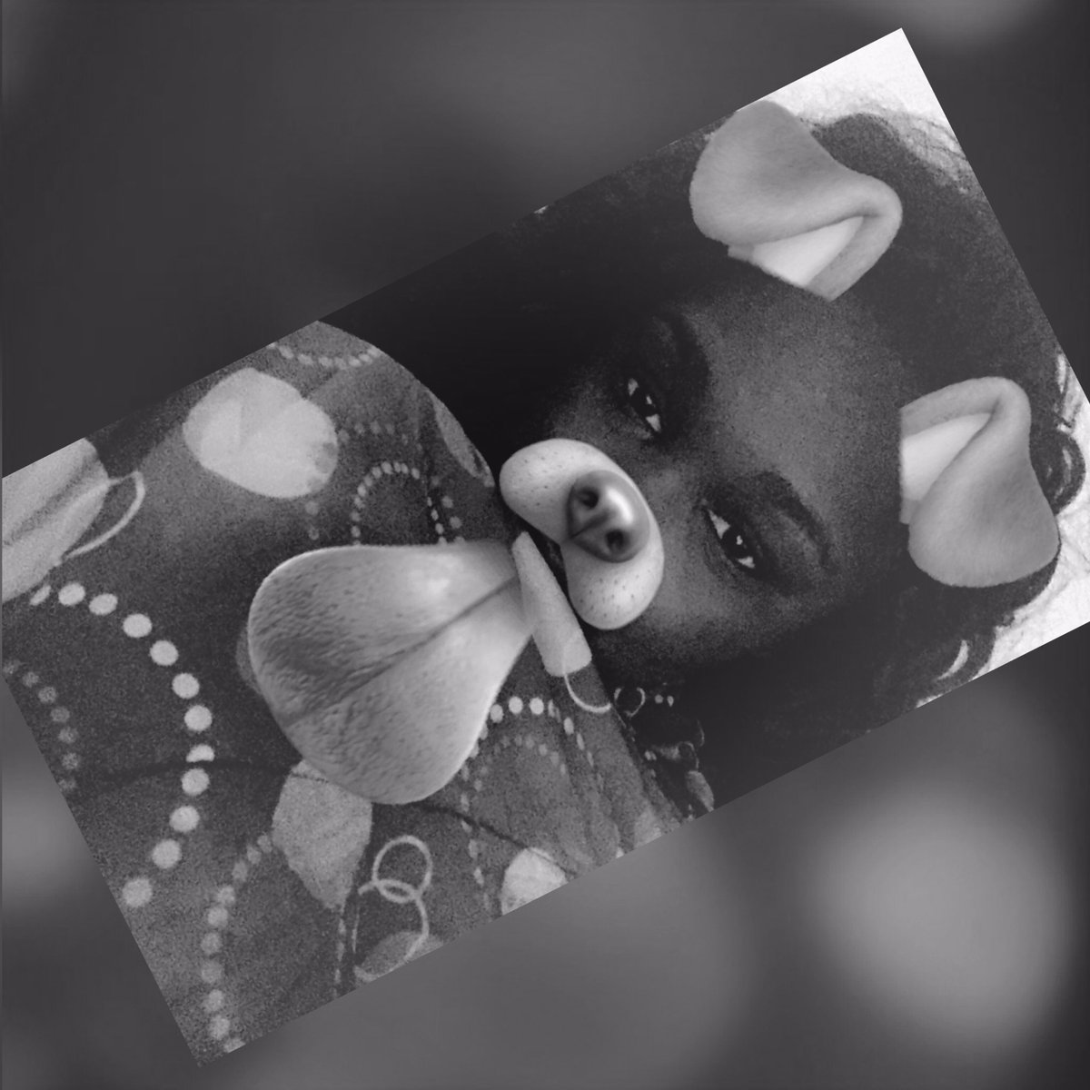 sweetie_og's tweet photo. Fav filter https://t.co/8AT3UnGktS