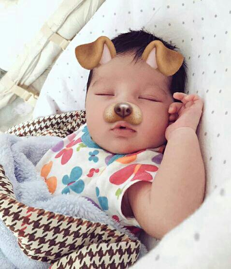 FLOTUSPHiNA's tweet photo. Look at our pupper https://t.co/hel7Zcoevk