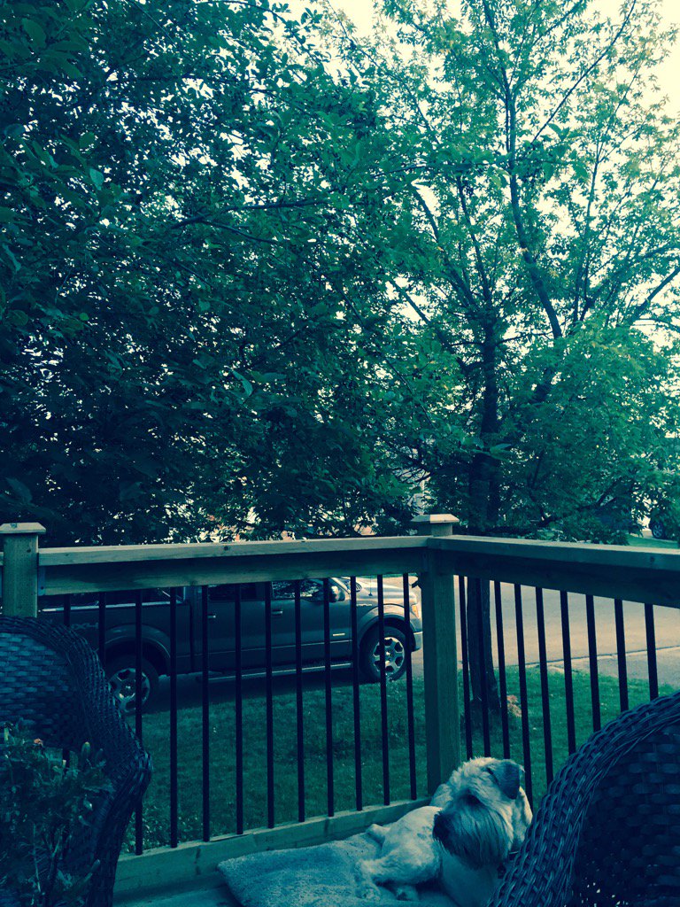briancritch's tweet image. Lovely evening front deck Fort mac #ymm #wickit