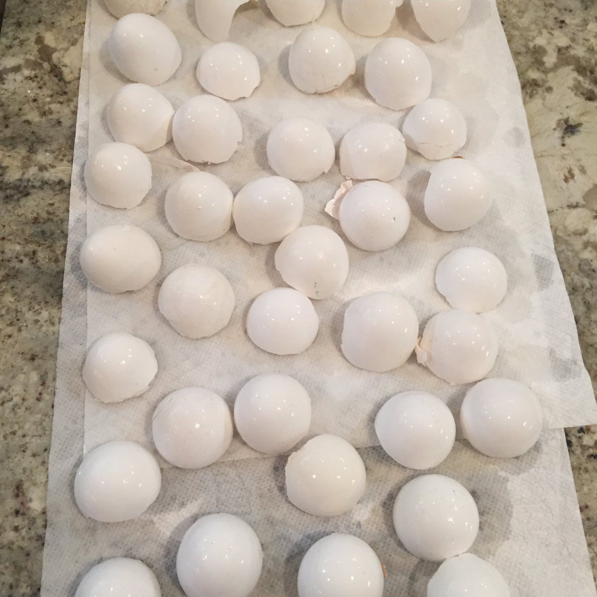 Save those eggshells and grind them  up for your garden soil!  Great calcium source!🌱 #garden #organic #recycle
