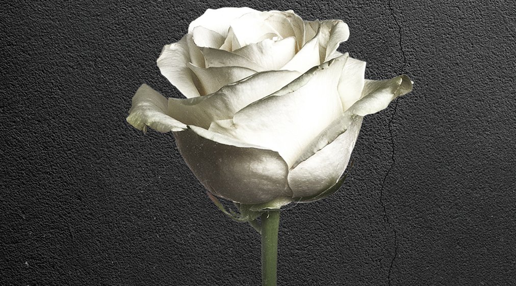 whoismrrobot's tweet image. There are always deadlines–always ticking clocks. The world's most powerful people are planning something. #MrRobot