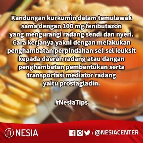 NesiaCenter's tweet photo. Konsumsi temulawak secara rutin dapat mengurangi radang sendi #NesiaTips https://t.co/y8Dc7CfVUO