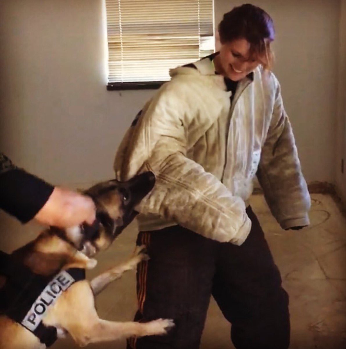 OxnardpoliceK9's tweet image. 2 of our newer officers came out today to see how much fun It is to play with dogs! 😉 #OxnardPDK9