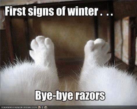 #funny #winter #animals #cats #feline #whiteanimals #whitecat tsu.co/Nccmrm97/13265…