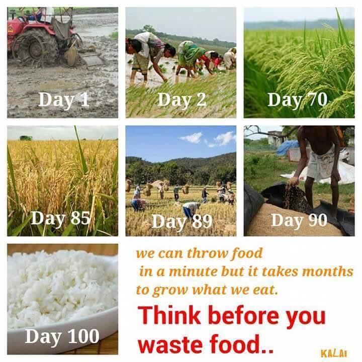SwechhaSharma's tweet photo. #Thinkbeforeyouwastefood 😁 https://t.co/IfFupt6Jtc