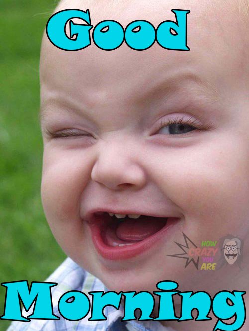 howcrazyuare's tweet photo. #gOOD #mORNING #pEOPLE 
@howcrazyuare https://t.co/7exPeJgVht