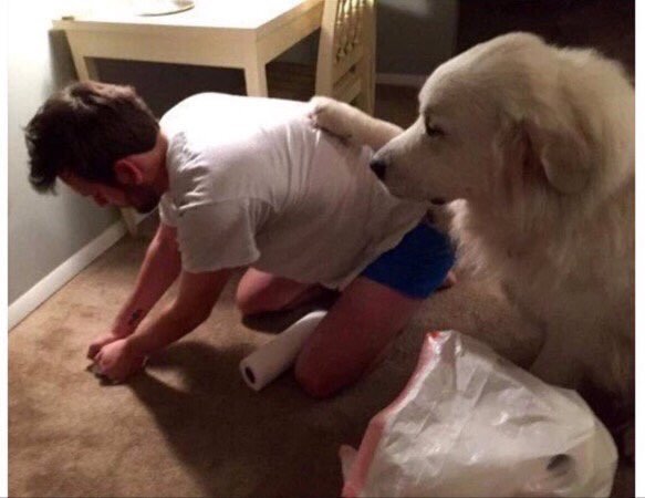 When you're cleaning up your dog's mess and he appreciates it