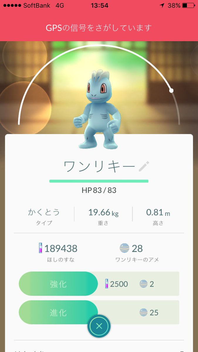 niokao____'s tweet photo. @s2rkl1 果てしないですよねwww

ゴーリキー持ってないですけど進化させるより100貯まるまでに野生で出てくるだろうと思って進化我慢してますw https://t.co/9KOKpqfnFS