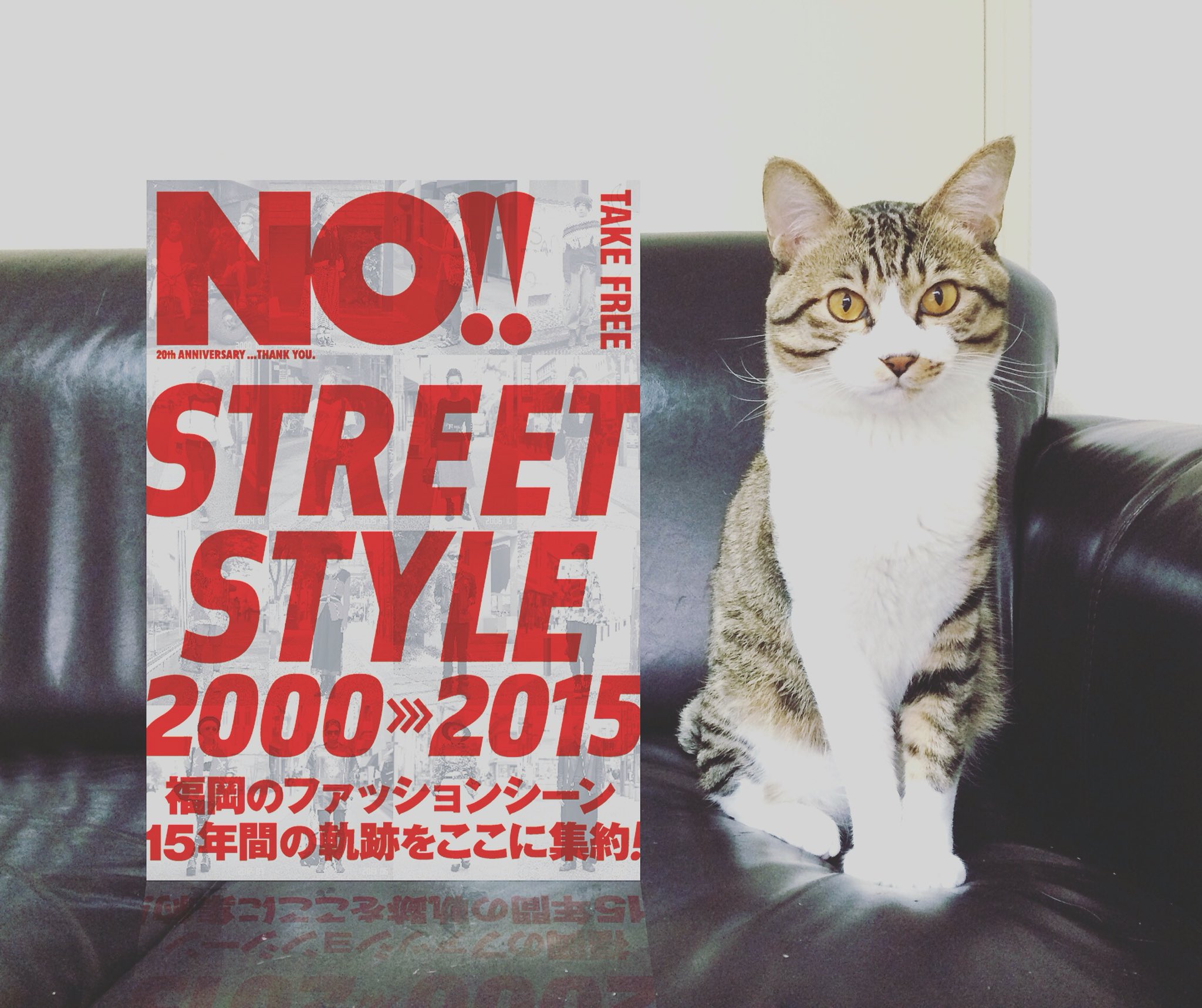 NO!!magazine (@no__magazine) / X